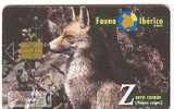 Fox - Vixen - Fuchs – Renard – Volpe – Volpino - Zorro -  Vulpes Vulpes - Fauna Iberica - Zorro Comun - Selva