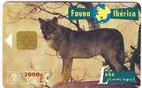 Wolf - Lobo - Loup - Lupo - Canis Lupus - Fauna Iberica LOBO - Oerwoud