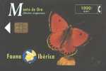 Animal - Butterfly - Papillon - Butterflies - Schmetterling - Mariposa - Farfalla - Fauna Iberica Manto De Oro - Andere & Zonder Classificatie