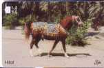 Animals - Horse - Caballo- Cheval - Cavallo - Pferd - Horses - HILAL - Horses