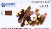 CHINE SUPERBE CARTE A PUCE FLEURS BLANCHES 100Y 1996 - Blumen