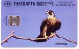 EAGLE (Greece Old Card) - Bird - Eagles - Falcon - Hawk - Falke - Halcon - Faucon - Falcone - Aigles & Rapaces Diurnes