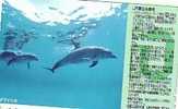 Undersea -dolphin -delphin - Delfin - Dauphin -delfino - Dauphine- Dolphins -Japan ( Japone) Railway Card ( Little Band) - Fish