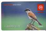 Slovenia Birds - Vogel - Voegel - Oiseau - Rapace - Uccello - Pajaro - Bird LANIUS COLLURIO  ( Plastic Card ) - Autres & Non Classés