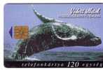 Animals - Undersea - Whale - Wal - Wals - Ballena - Baleine - Balena ( See Scan For Condition ) - Peces