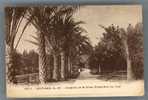 1977 - ANTIBES (A.-M.) - Jardins De La Villa Eilen-Roc Au Cap - Cap D'Antibes - La Garoupe