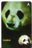 Singapour – Wild Animals - Bear - Ours - Bears - Grizzly - Baer - Oso - Endurer - Nais - Orso - Singapore Rare PANDA - Singapur