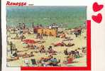 CP (Postkarte) RENESSE - 05-02-1995 - MIT Briefmarke, Ca. 15 Cm X 10 Cm, Siehe Foto, Gebraucht. - Renesse