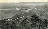 LE CANADEL  (Var)   La Côte Des Maures   -   Le Cap Nègre Et La Plage ...  (carte Noir Et Blanc Ayant Voyagé En 1956) - Rayol-Canadel-sur-Mer