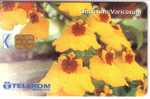 ONCIDIUM VARICOSUM - Malaysia Old Chip Card * Flora Flore Flowers Fleurs Blumen Fiori Flores Flower Fleur Blume - Malaysia