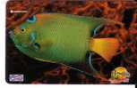 Malaysia - Malaisie - Undersea - Marine Life - Fish –fisch– Poisson – Pez – Pesci ( Code 14MSAB )- Not Perfect, See Scan - Malesia