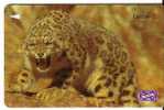 Malaysia - Malaisie - Wild Animals - Leopard - Code 64USBA - Maleisië