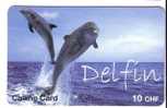 DOLPHIN ( Switzerland ) *** Dauphin - Delfin – Delfino – Delphin - Dolphins - Dauphins - Delfine * Suisse - Fish