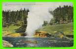 YELLOWSTONE, WY - RIVERSIDE GEYSER - YELLOWSTONE NATIONAL PARK - TRAVEL IN 1910 - - Yellowstone