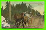 DIGBY,N.S. -TOURISTS ENJOYING A BUCKBOARD DRIVE - ANIMATED - TRAVEL IN 1911 - - Altri & Non Classificati