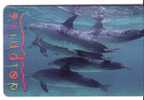 Animals - Undersea - Dolphin - Delphin - Delfin - Dauphin - Delfino - Dauphine-dolphins -JAR 3( See Scan For Condition ) - Fish