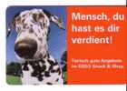 Germany  Animals - Fauna - Dog - Hund -  Perro - Chien - Cane - Animal - Dogs- Dalmatien ( Dalmatian ) Dog - Cani