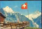 {13517} Carte Postale " Suisse , Grindelwald "     Animée - Grindelwald