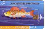 Hungary - Hongrie - Undersea – Marine Life – Fish – Fisch – Poisson – Pez – Pesci  ( Only 30.000 Ex. ) - Fish