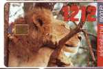 Hungary Fauna - Hongrie Faune - Animals -  Loewe - Lion – Leon – Leone - Lions -  ( Only 50.000 Ex. ) - Oerwoud