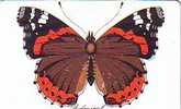 ALLEMAGNE SUPERBE PAPILLON ADMIRAL UT - Andere & Zonder Classificatie