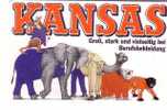 Germany - Allemagne - Fauna - Elephant - Camel - Polar Bear - Ours - Kangaroo ( Scratch On Back Side -  See Scan ) - Other & Unclassified