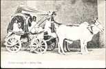 Bullock Carriage Of A Native State - Altri & Non Classificati