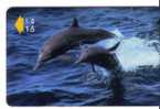 Undersea – Dolphin – Delphin – Delfin – Dauphin – Delfino – Dauphins - Dolphins - Vissen