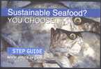 Fish - Eating Guide - Pescados Y Crustáceos