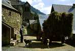 31 - LUCHON Charettes De Foin Au BOURG D'oueil - Farms