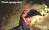 Fauna – Faune - Bird - Oiseau - Vogel - Voegel – Oiseaux - Uccello – Pajaro - EXOTIC BIRDS - No. 8 - Otros & Sin Clasificación
