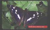 SLOVAKIA - A101 - BUTTERFLY - Slovaquie