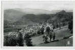 MURAT - Vue Générale - Dans Le Fond, Le Plomb Du Cantal. - Murat