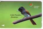 Singapore Fauna - Singapour  Faune - Birds - Oiseau -vogel-voegel – Oiseaux –pajaro- Bird - A.P.Flycatcher (code 25SIGD) - Singapour