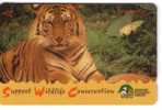 Singapore - Singapour - Sumatran Tiger – Tigre – Tigresse – Tigers -  Jungle - Fauna – Wild Animals –  ( Code 94SIGA ) - Oerwoud