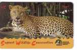Singapore - Singapour - Fauna - Faune - Animals - Animaux - Leopard  ( Code 94SIGC ) - Singapur