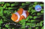 Singapore - Singapour - Fauna - Faune - Undersea - Underwatter - Marine Life - Fish - Poisson - Fishes ( Code 156SIGA ) - Singapore