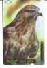 EAGLE (Turkey Old Card) * Bird - Oiseau - Eagle - Falcon - Eagles - Faucon - Hawk - Aigle - (see Scan For Condition) - Turchia