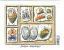 BELGIUM : Emission De 2005 - Schelpen / Coquillages (timbres Autocollants) - Schelpen