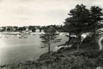 TREBEURDEN (Côtes-du-Nord)  Echappée Sur Le Pont Et L'Anse De Trébeurden (carte Noir Et Blanc, Datant Des Années 50) - Trébeurden