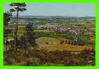 LANGOGNE - VUE GÉNÉRALE SUR LA VILLE ET LA VALLÉE DE L´ALLIER - - Langogne