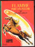 {24317} W Farley "flamme Part En Flèche" Hachette Biblio Verte, 1981 - Bibliothèque Verte