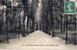 FONTENAY SOUS BOIS - Une Allée Du Bois - Fontenay Sous Bois