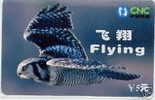 Télécarte Chouette En Plein Vol - Chine - Neuve - 5 Yens - Ref 9923 - Eagles & Birds Of Prey