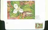 31000 - Aérogramme Du Canada - Fleur De L'Ontario - Trille Blanc - Trillium Grandiflorum - Sonstige & Ohne Zuordnung