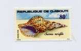 Djibouti N°487 Neuf Coquillage - Coneshells