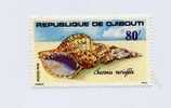Djibouti N°487 Neuf Coquillage - Conchas