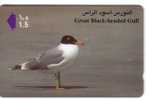 Fauna – Faune - Birds - Oiseau - Vogel - Voegel – Oiseaux - Uccello – Pajaro - Bird - Oman - BLACK GULL - Andere & Zonder Classificatie