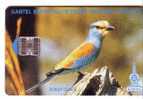 KINGFISHER  ( Gambia Chip Card ) ** Birds - Oiseau - Vogel - Voegel – Oiseaux - Uccello – Pajaro - Fauna - Faune - Autres & Non Classés