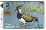 Fauna – Faune - Birds - Oiseau - Vogel - Voegel – Oiseaux - Uccello – Pajaro - Bird - Latvia Kivite - Sonstige & Ohne Zuordnung